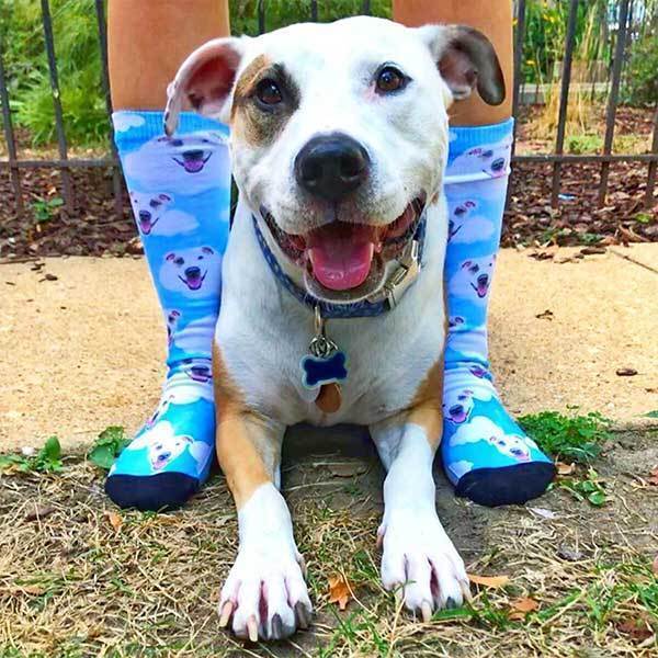 gifts for dog owners