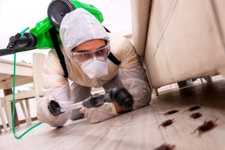 What are the benefits of using termite-resistant building materials?