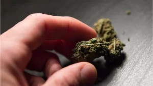 Delta 8 THC Flower: Elevating Wellness with a Natural Twist