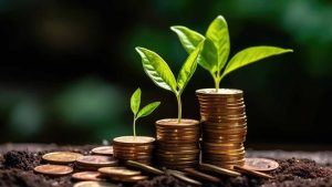 A Step-by-Step Guide to Realizing the Benefits of Privately-Owned Managed Funds