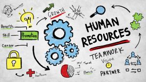 Nurturing Talent, Fostering Success: The Essence of Human Resource Management