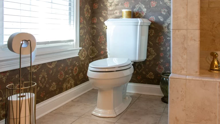 find how to install a toilet with ease